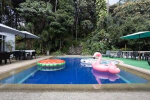 Afbeelding uit fotogalerij van Bachelor Party Guard Jacuzzi Pool in Medellín
