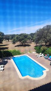 una vista aérea de una piscina con sillas y árboles en Casa rural Suerte de los Mozos, en Cáceres