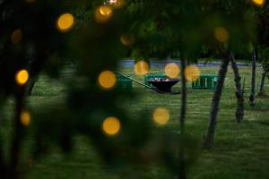 Zahrada ubytování Hesselgaard Glamping