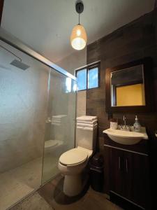 a bathroom with a toilet and a shower and a sink at Cabaña No.10 Puerta del Bosque Mazamitla. in Mazamitla