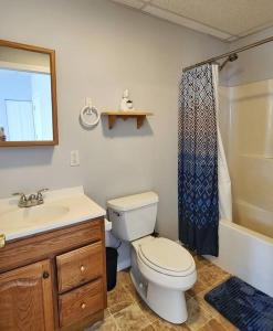 uma casa de banho com um WC, um lavatório e um chuveiro em Modern and chic home with fine furnishing em Springfield