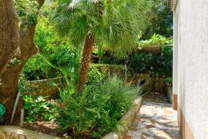 Zahrada ubytování Apartments by the sea Artatore, Losinj - 2509