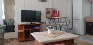 uma sala de estar com uma televisão e uma mesa em City Park Skopje apartment em Skopje