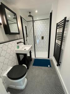 W łazience znajduje się toaleta, umywalka i prysznic. w obiekcie Kingston Star w mieście Kingston upon Thames