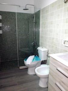 ein Bad mit einem WC und einer Glasdusche in der Unterkunft Vivienda Vacacional El Roquete in Punta del Hidalgo
