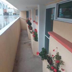 サカトランにあるEva's paradiseのギャラリーの写真