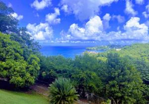 a view of the ocean from a hill with trees at Memwa Villas in Castries