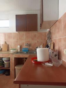uma cozinha com um balcão com um lavatório e uma bancada em Lake house em Vranjina