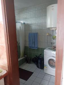 uma casa de banho com um chuveiro e uma máquina de lavar roupa em Lake house em Vranjina