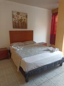 Tempat tidur dalam kamar di Olmedo Plaza Hotel