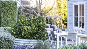 un patio con tavolo, sedie e un albero di arancio di Dove Cottage a Bundanoon