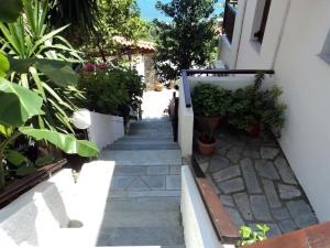 Zahrada ubytování Villa Sunray