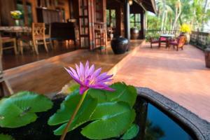 una flor púrpura sentada en un tazón de agua en Five Islands Beach House Samui en Amphoe Koksamui