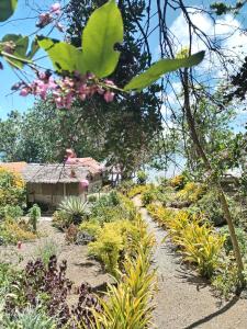 a garden with plants and a house in the background at Vatupau Beachfront Bungalows in Port Vila