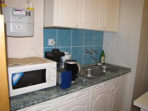 a kitchen with a sink and a microwave at Pávai Vendégház in Hajdúszoboszló