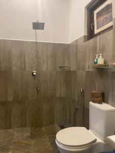 a bathroom with a toilet and a shower at The Green Edge in Dambulla