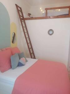 een slaapkamer met een stapelbed en een ladder bij Appartement Avignon Centre ville intra muros in Avignon