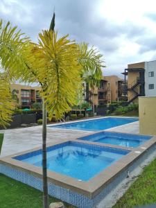 une piscine avec un palmier en face d'un bâtiment dans l'établissement hermoso apartamento amoblado, à La Tebaida