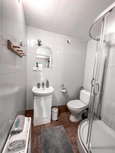 a bathroom with a toilet and a sink and a shower at Summer House in Lubniewice +14 photos