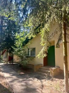 a house with a green door and some trees at Summer House in Lubniewice