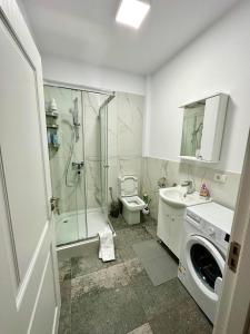 a bathroom with a shower and a toilet and a sink at Angela Nordic apartment. in Suceava