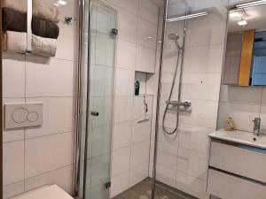 a bathroom with a shower and a toilet and a sink at Wohnung *AusZeit* in Weiler