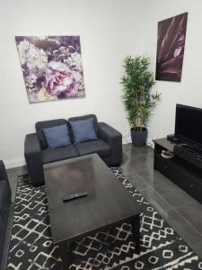 City Villa 41 Blende st Broken Hill NSW 2880的电视和/或娱乐中心