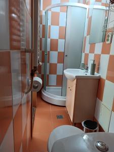 ein Bad mit einem WC, einem Waschbecken und einer Dusche in der Unterkunft Lend apartman in the garden in Miercurea Ciuc