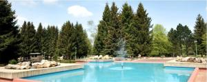 une piscine avec une fontaine dans un parc dans l'établissement Ferienwohnung Schlüsselblume, à Altenau