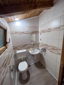 La salle de bains est pourvue de toilettes et d'un lavabo. dans l'établissement Domačija Paternoster, à Litija