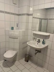 a bathroom with a toilet and a sink at Garden View Apartment in Innsbruck