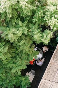 an overhead view of a group of people sitting under trees at Hotel Pulitzer Barcelona in Barcelona