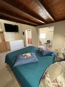um quarto com uma grande cama verde e 2 almofadas em Amarandos Studios Village Bliss em Fodele