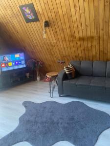 TV a/nebo společenská místnost v ubytování Yalova Kasaba Bungalov