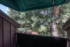 a large tree in front of a fence at Manitou Lodge 11 by Alpine Lodging Telluride in Telluride