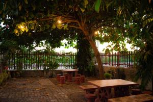 Zahrada ubytování D Guest House Ilocos