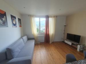 un soggiorno con un divano e una televisione di Appartement cosy a Lourdes