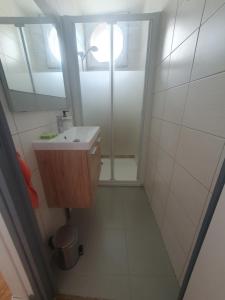 un piccolo bagno con lavandino e doccia di Appartement cosy a Lourdes Altre 4 foto