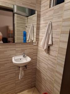 a bathroom with a sink and a mirror at Ana apartman in Bar