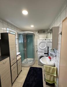 y baño con ducha, lavabo y lavadora. en Apartma Zeleni Raj, en Ptuj