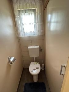 a small bathroom with a toilet and a window at Apartma Zeleni Raj in Ptuj