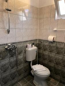 a bathroom with a toilet and a shower at Kъща за гости Христина in Lozenets