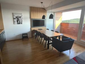TV a/nebo společenská místnost v ubytování Apartmán O18 - Kleč