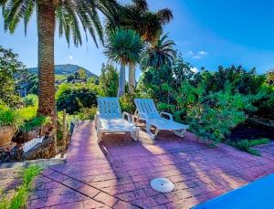 - deux chaises bleues assises sur une terrasse en briques avec des palmiers dans l'établissement La Bodega casa rural con piscina y jardines, à Breña Baja