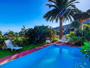 - une piscine avec 2 chaises et un palmier dans l'établissement La Bodega casa rural con piscina y jardines, à Breña Baja