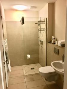 a bathroom with a shower and a toilet and a sink at Station L in Langballig