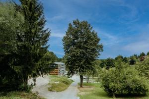 a path between two trees in a field at Vista Lago,Orahovica jezero in Duzluk +22 photos