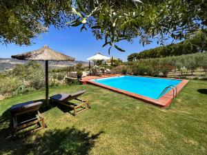 una piscina en un patio con sillas y sombrilla en Cortijo LA Organic, en Ronda