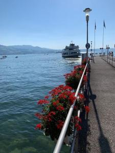 a pier with flowers and a boat in the water at Charming alps apartment perfect for walk/cycle/ski in Eschenbach