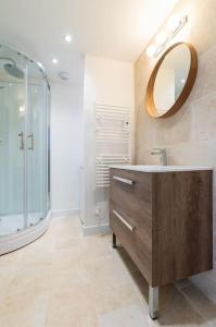 ein Bad mit einem Waschbecken, einer Dusche und einem Spiegel in der Unterkunft Appartement Meuse & Mono, en hyper centre in Charleville-Mézières